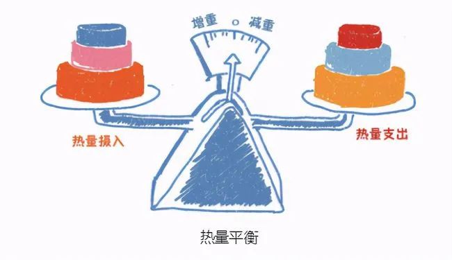 吃柚子瘦身吗_吃柚子减肥能瘦下来吗_吃一个月柚子瘦了27斤