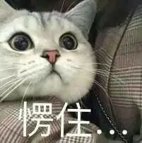 高价国产车_买国产后悔吗_后悔打国产二价